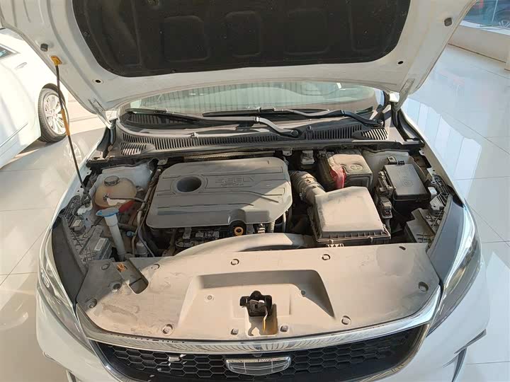 Фото 20 - Geely Binrui