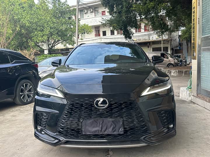 Фото 1 - Lexus RX