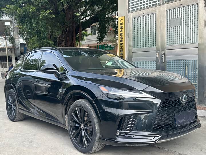 Фото 2 - Lexus RX