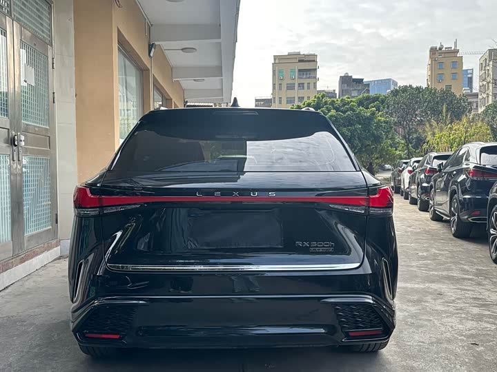 Фото 8 - Lexus RX