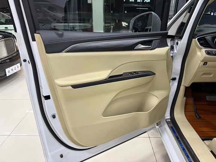 Фото 10 - Buick GL8 ES