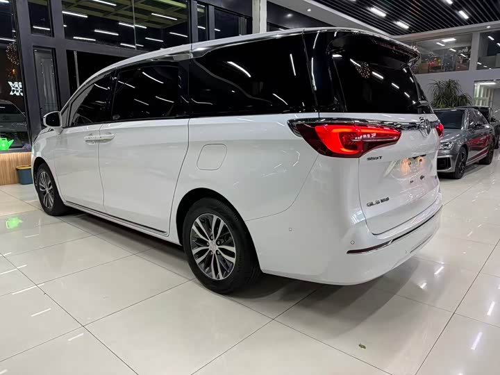 Фото 5 - Buick GL8 ES