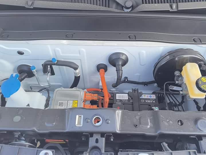 Фото 10 - Geely Galaxy Panda Mini