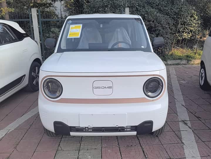 Фото 2 - Geely Galaxy Panda Mini