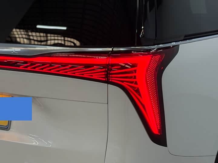 Фото 11 - Buick GL8 Century