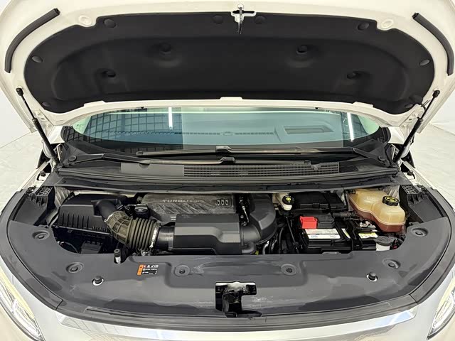 Фото 13 - Buick GL8 Century