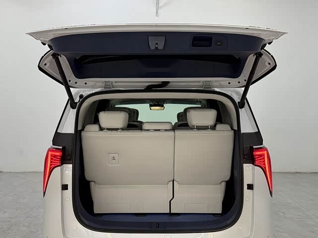 Фото 16 - Buick GL8 Century