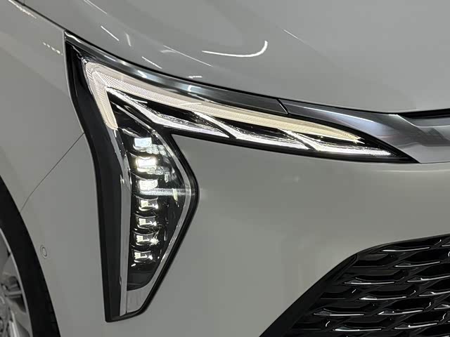 Фото 18 - Buick GL8 Century