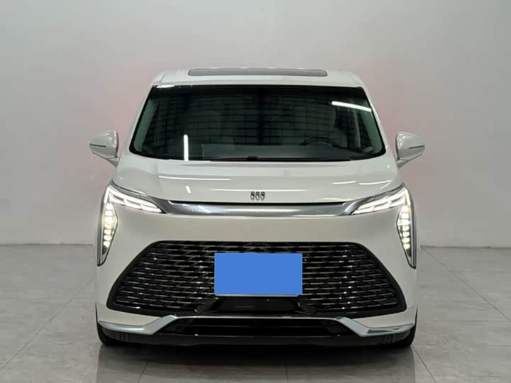 Фото 2 - Buick GL8 Century