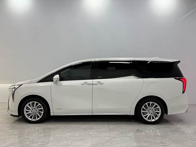 Фото 6 - Buick GL8 Century