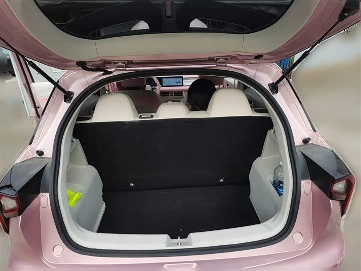 Фото 10 - Geely Geometry E Firefly