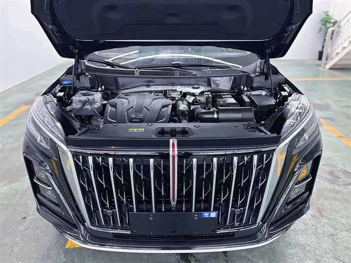 Фото 2 - Hongqi HS3