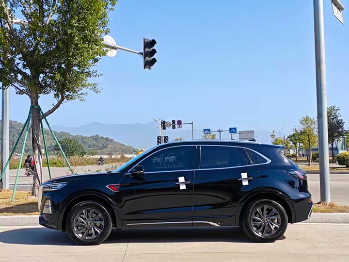 Фото 3 - Hongqi HS5