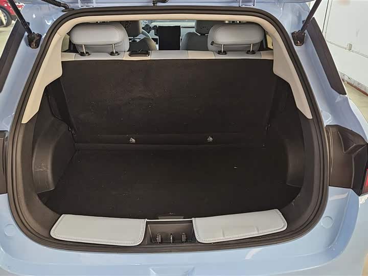 Фото 10 - Hozon AYA