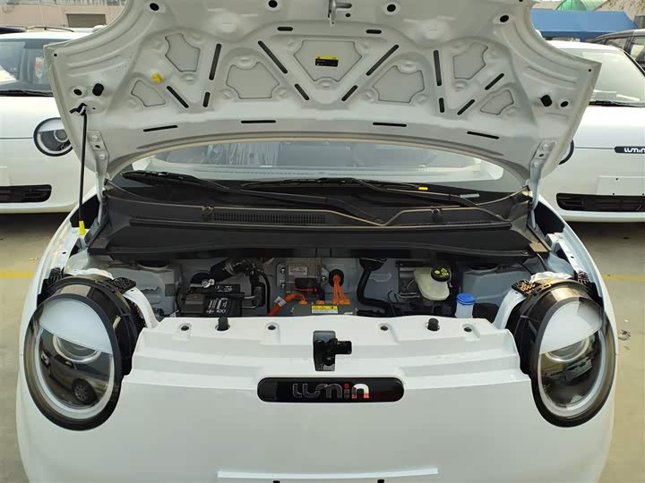 Фото 20 - Changan Qiyuan (Nevo) Lumin