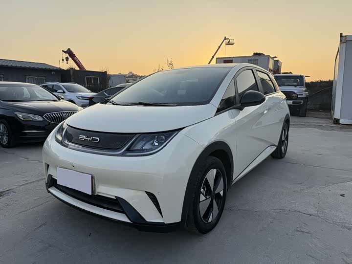 Фото 1 - BYD Dolphin