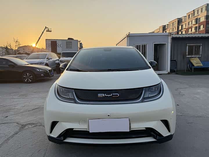 Фото 2 - BYD Dolphin