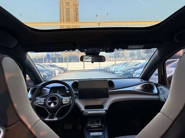 Фото 7 - BYD Dolphin