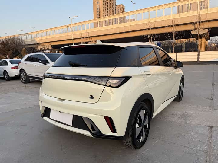 Фото 8 - BYD Dolphin