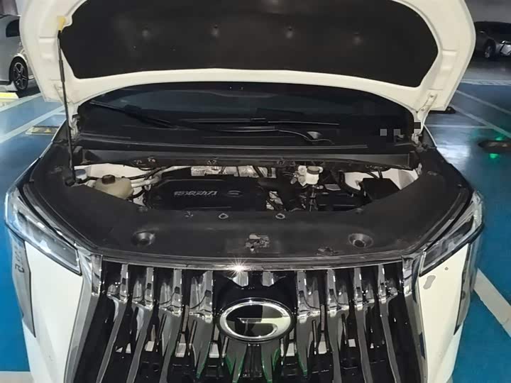 Фото 11 - GAC Trumpchi M8