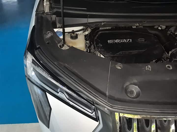 Фото 21 - GAC Trumpchi M8