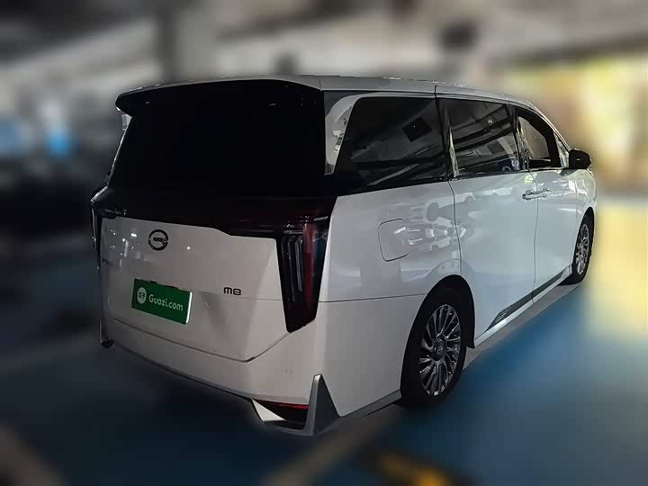 Фото 29 - GAC Trumpchi M8