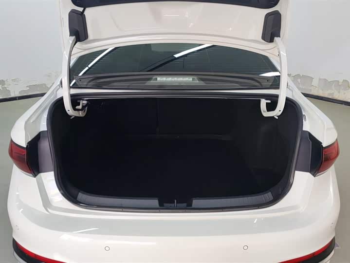 Фото 4 - Volkswagen Sagitar L