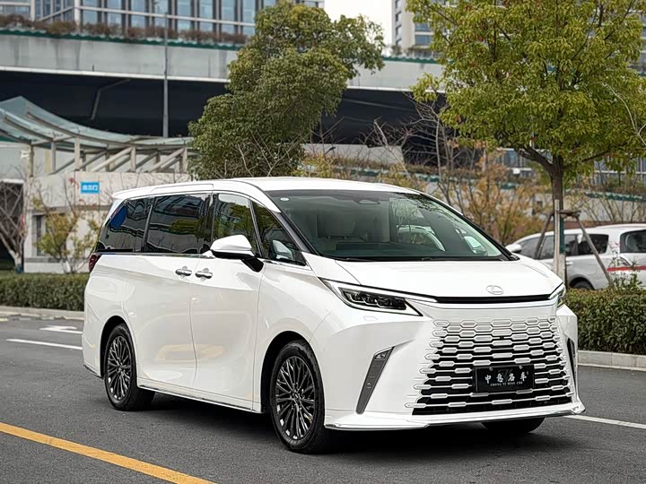 Фото 3 - Lexus LM