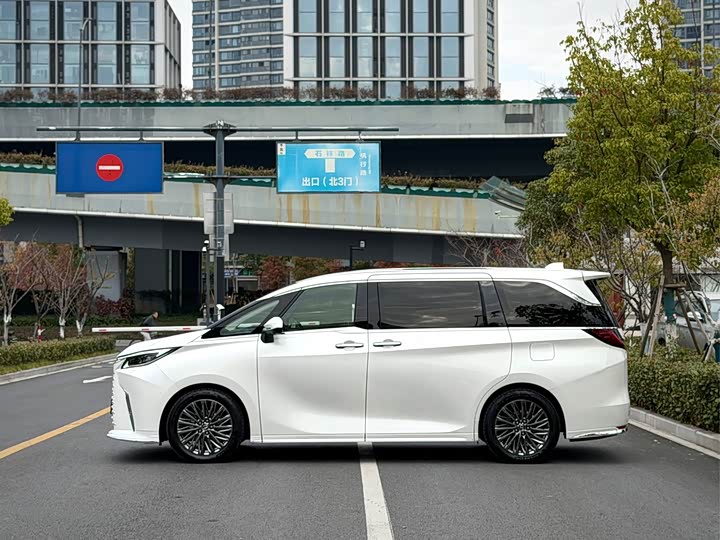 Фото 4 - Lexus LM