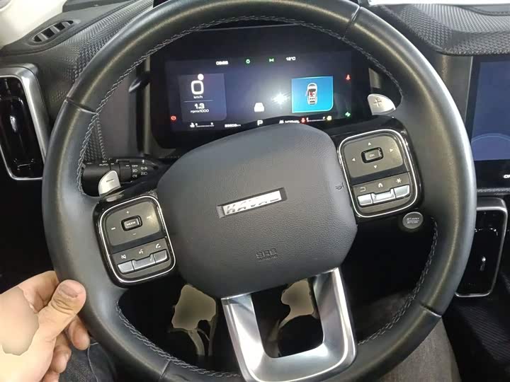 Фото 11 - Haval Dargo