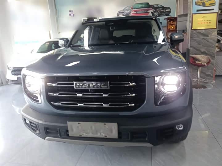 Фото 3 - Haval Dargo