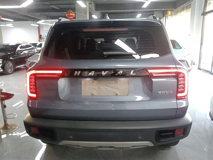 Фото 6 - Haval Dargo