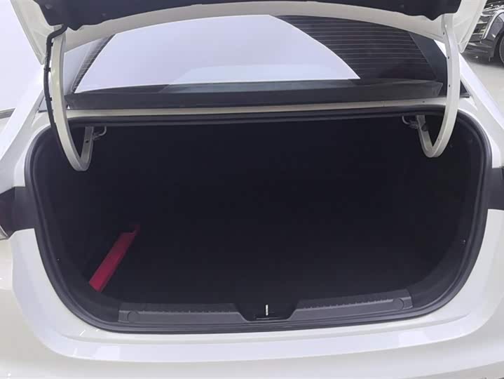 Фото 4 - GAC Trumpchi Empow R