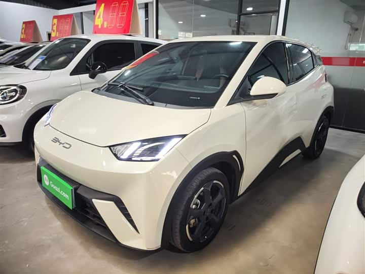 Фото 2 - BYD Seagull