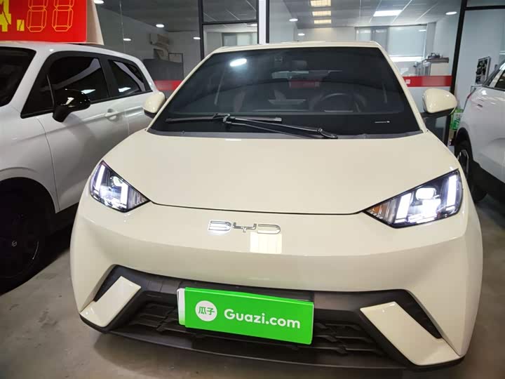 Фото 3 - BYD Seagull