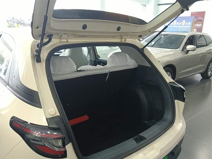 Фото 9 - Geely Galaxy Geome