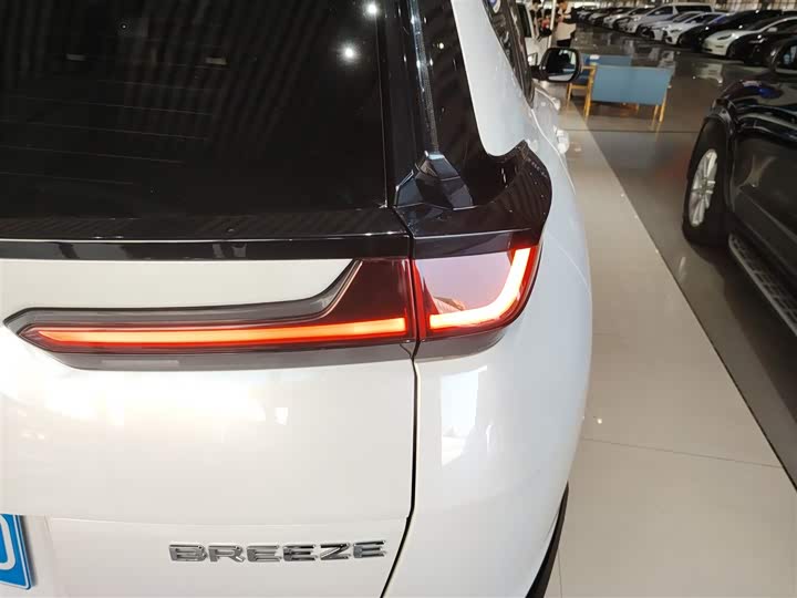 Фото 10 - Honda Breeze