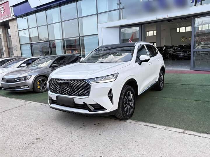 Фото 1 - Haval H6