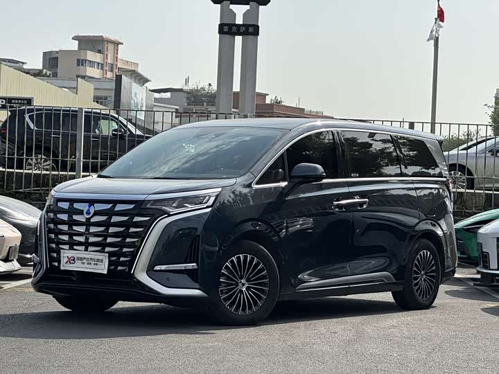 Фото 1 - Denza D9