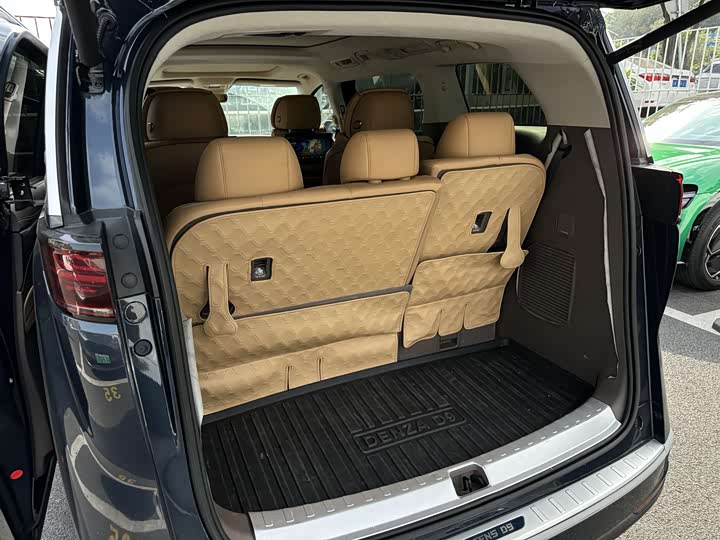 Фото 10 - Denza D9