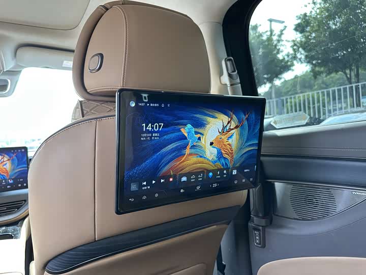 Фото 13 - Denza D9