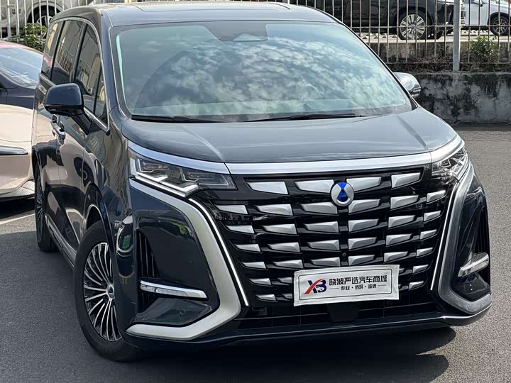 Фото 2 - Denza D9