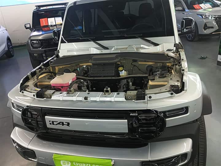 Фото 20 - Chery iCar V23