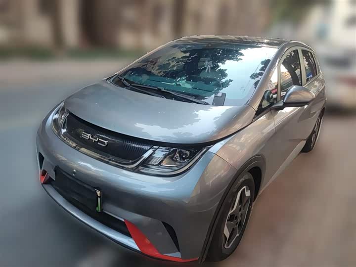 Фото 1 - BYD Dolphin