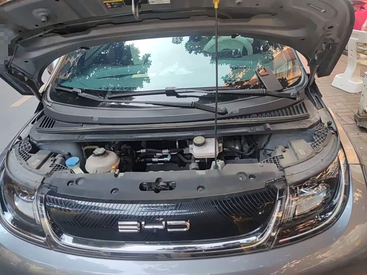 Фото 11 - BYD Dolphin