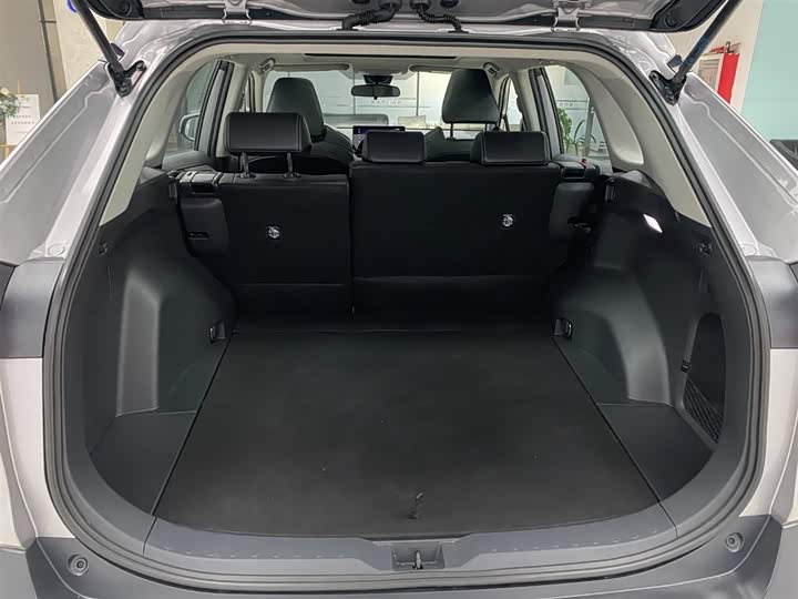 Фото 13 - Toyota Wildlander