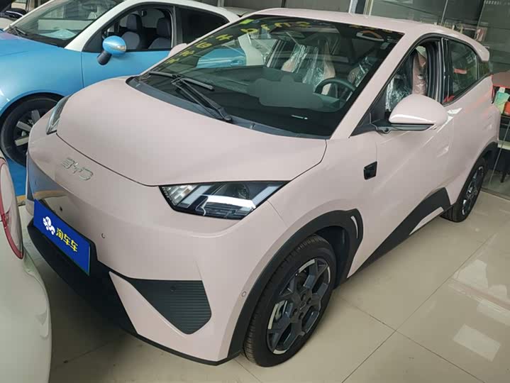 Фото 1 - BYD Seagull