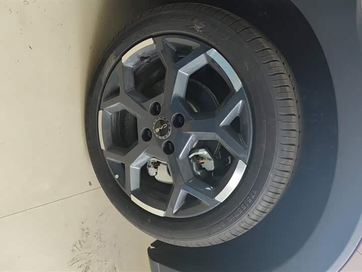 Фото 6 - BYD Seagull