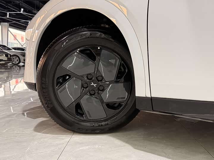 Фото 3 - XPeng G6