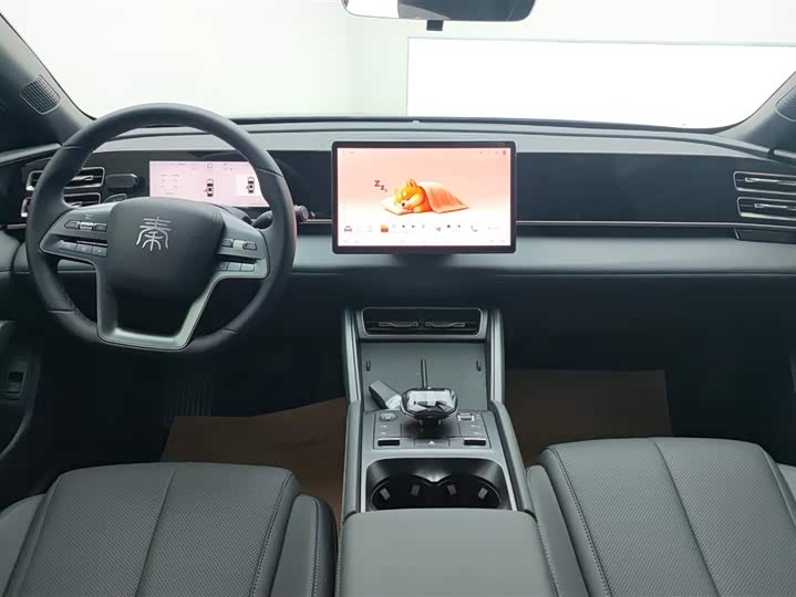 Фото 12 - BYD Qin L